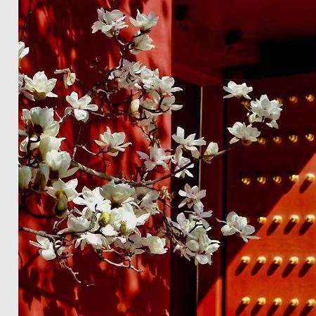 Hotel Cote Cour Deductive Beijing - Quadrangle Close To Tiananmen Square & Forbidden City & Nanluoguxiang, Walk To Wangfujing, English Speaking, Free Wifi, Free Laundry, Free Wonton & Noodles With Tour Ticket Service, Free Selfies With Ancient Costum Exterior foto