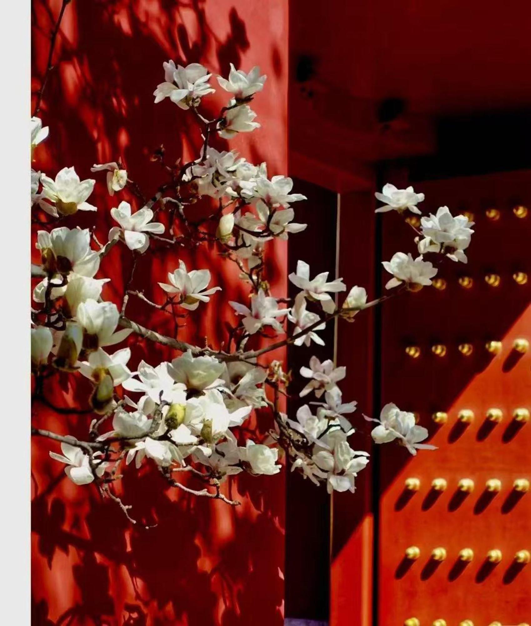 Hotel Cote Cour Deductive Beijing - Quadrangle Close To Tiananmen Square & Forbidden City & Nanluoguxiang, Walk To Wangfujing, English Speaking, Free Wifi, Free Laundry, Free Wonton & Noodles With Tour Ticket Service, Free Selfies With Ancient Costum Exterior foto